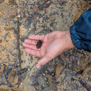 2 March 2026 - 14:43 by Greg