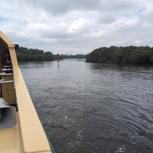 Rydalmere ferry wharf by Greg