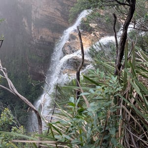 6 March 2026 - 11:46 by Greg