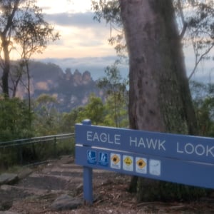 7 March 2026 - 07:36 by Greg