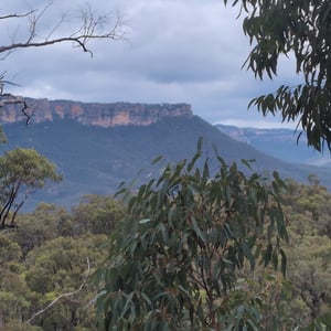 8 March 2026 - 14:36 by Greg