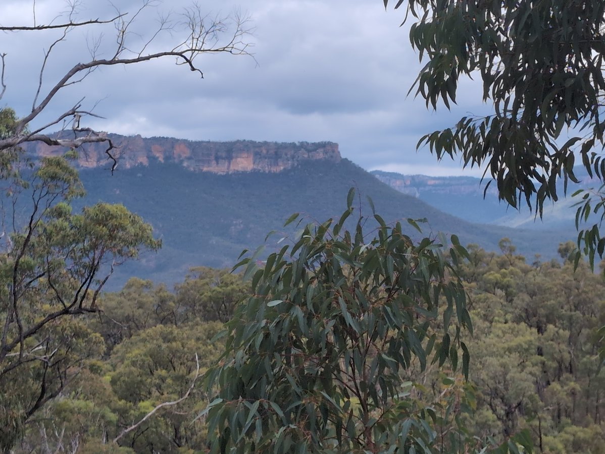 8 March 2026 - 14:36, Australia