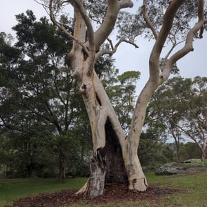 9 March 2026 - 14:36 by Greg