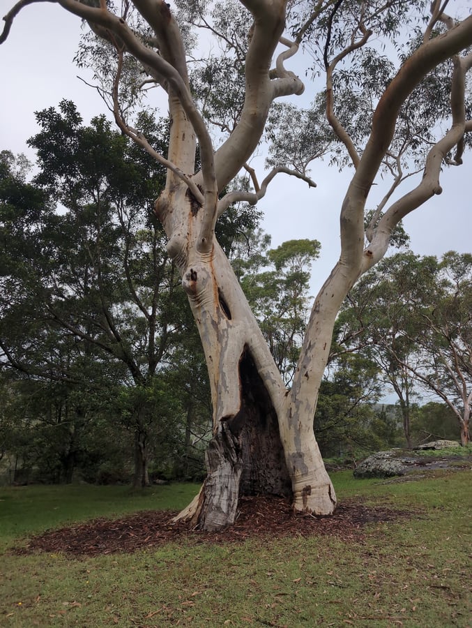 9 March 2026 - 14:36, Australia