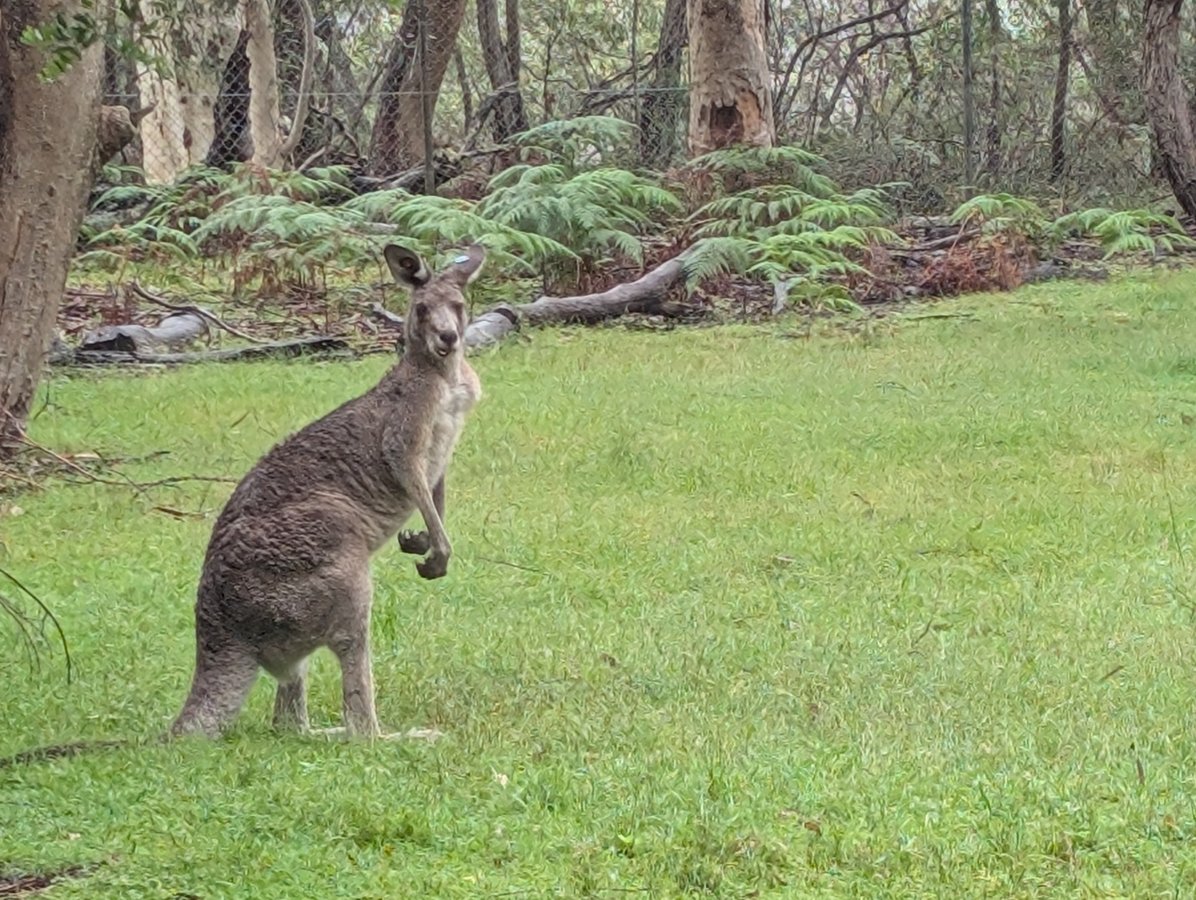 9 March 2026 - 14:36, Australia