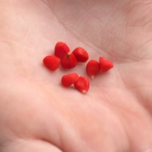 9 March 2026 - 14:36 by Greg