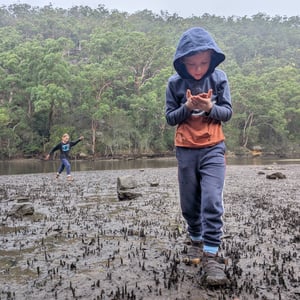 9 March 2026 - 16:08 by Greg