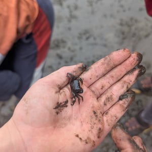 9 March 2026 - 16:08 by Greg