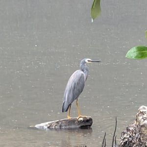 9 March 2026 - 16:08 by Greg