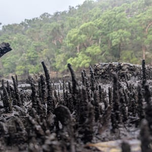 9 March 2026 - 16:08 by Greg