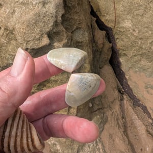 10 March 2026 - 10:22 by Greg