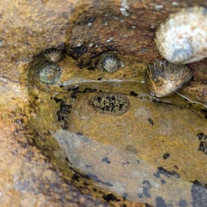 10 March 2026 - 10:22 by Greg