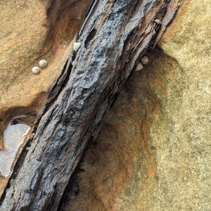 10 March 2026 - 10:22 by Greg