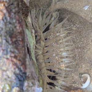 10 March 2026 - 10:22 by Greg