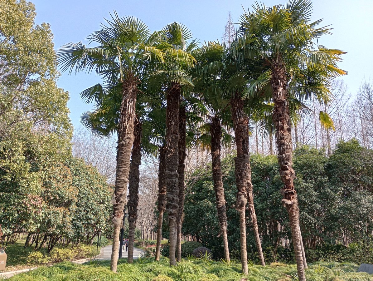 Century Park 2, China