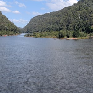 12 March 2026 - 12:51 by Greg