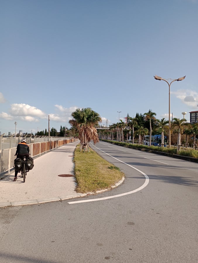 palmas, Japón