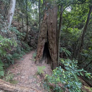 13 March 2026 - 10:44 by Greg