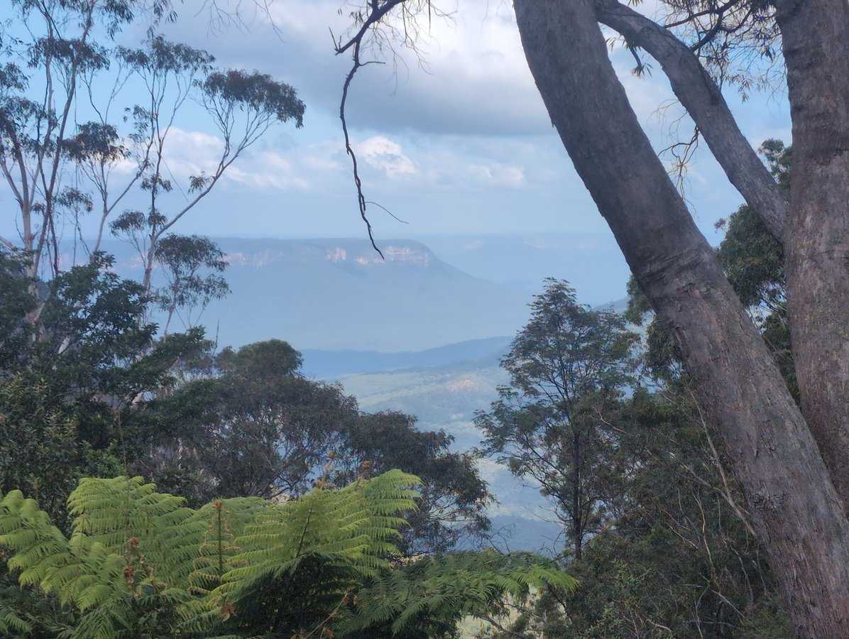 Blue haze....Blue Mountains, Australia