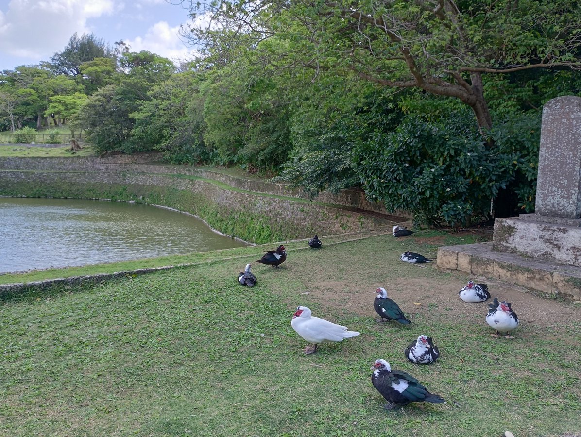 By The Castle, Japan