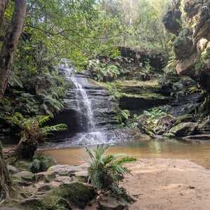 13 March 2026 - 14:56 by Greg