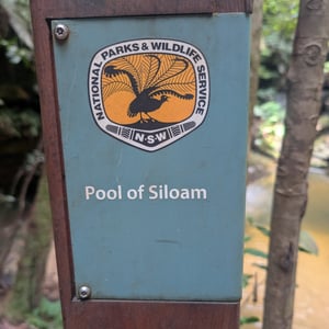 13 March 2026 - 14:56 by Greg