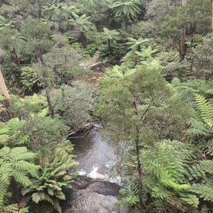 13 March 2026 - 15:35 by Greg