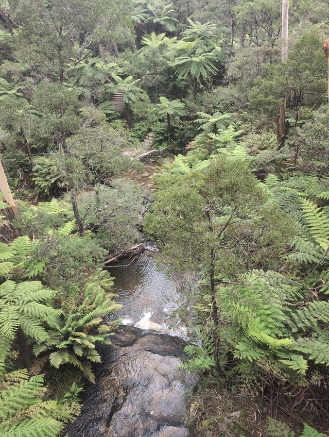 13 March 2026 - 15:35, Australia