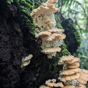 16 March 2026 - 12:01 by Greg