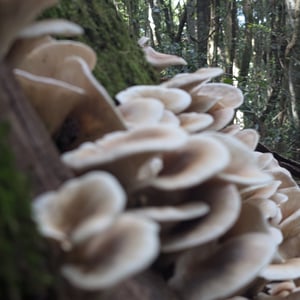 16 March 2026 - 12:01 by Greg