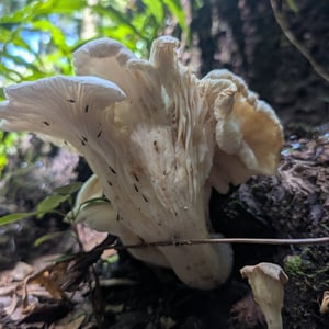 16 March 2026 - 12:54 by Greg