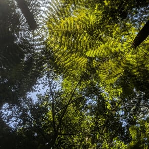 16 March 2026 - 11:41 by Greg