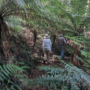 16 March 2026 - 11:41 by Greg