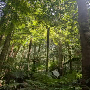 16 March 2026 - 11:41 by Greg