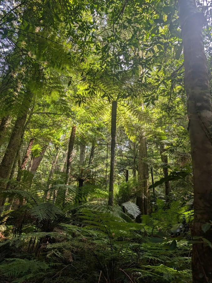 16 March 2026 - 11:41, Australië