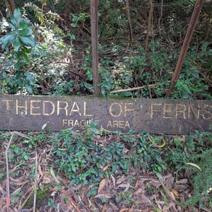 16 March 2026 - 11:41 by Greg