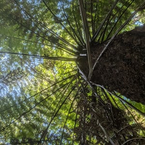 16 March 2026 - 14:49 by Greg