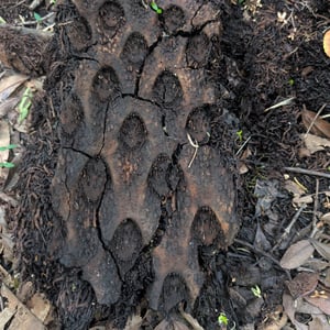 16 March 2026 - 14:49 by Greg