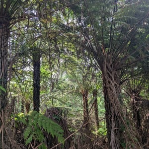 16 March 2026 - 14:49 by Greg