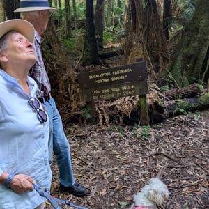 16 March 2026 - 14:49 by Greg