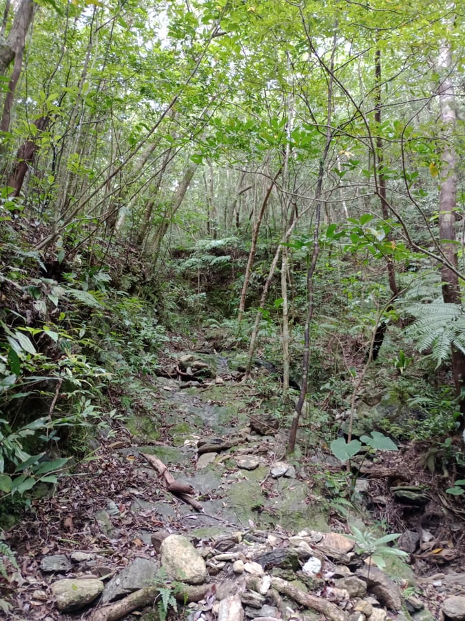 Potential Path To A Summit!, Japan