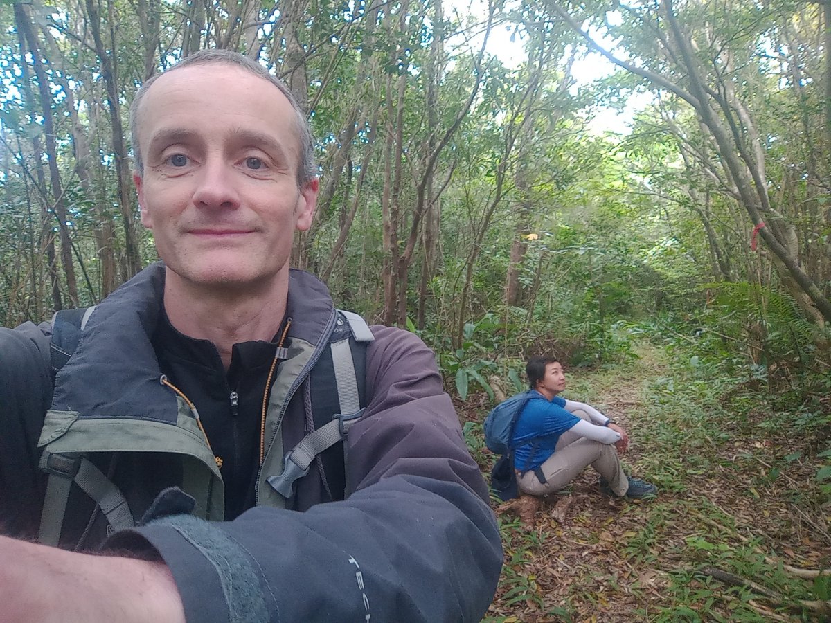 At The Summit...In The Woods, Japan
