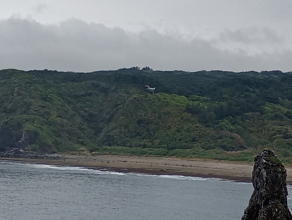 At Cape Hedo, Japan