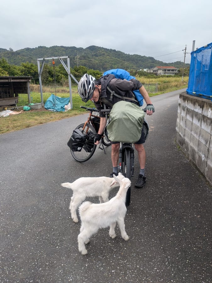 Ziegen!, Japan