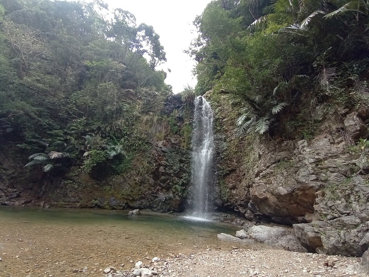 Waterfall, Japan