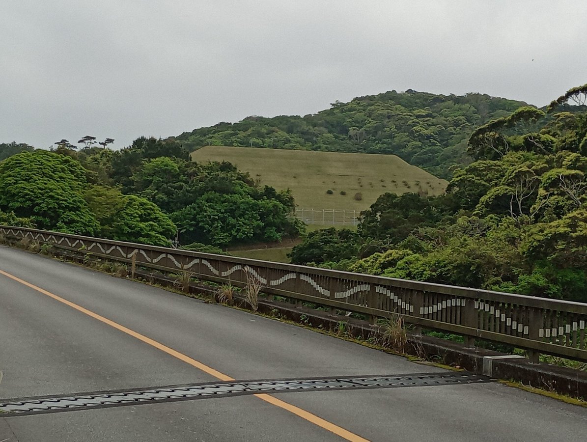 21 March 2026 - 10:33, Japan
