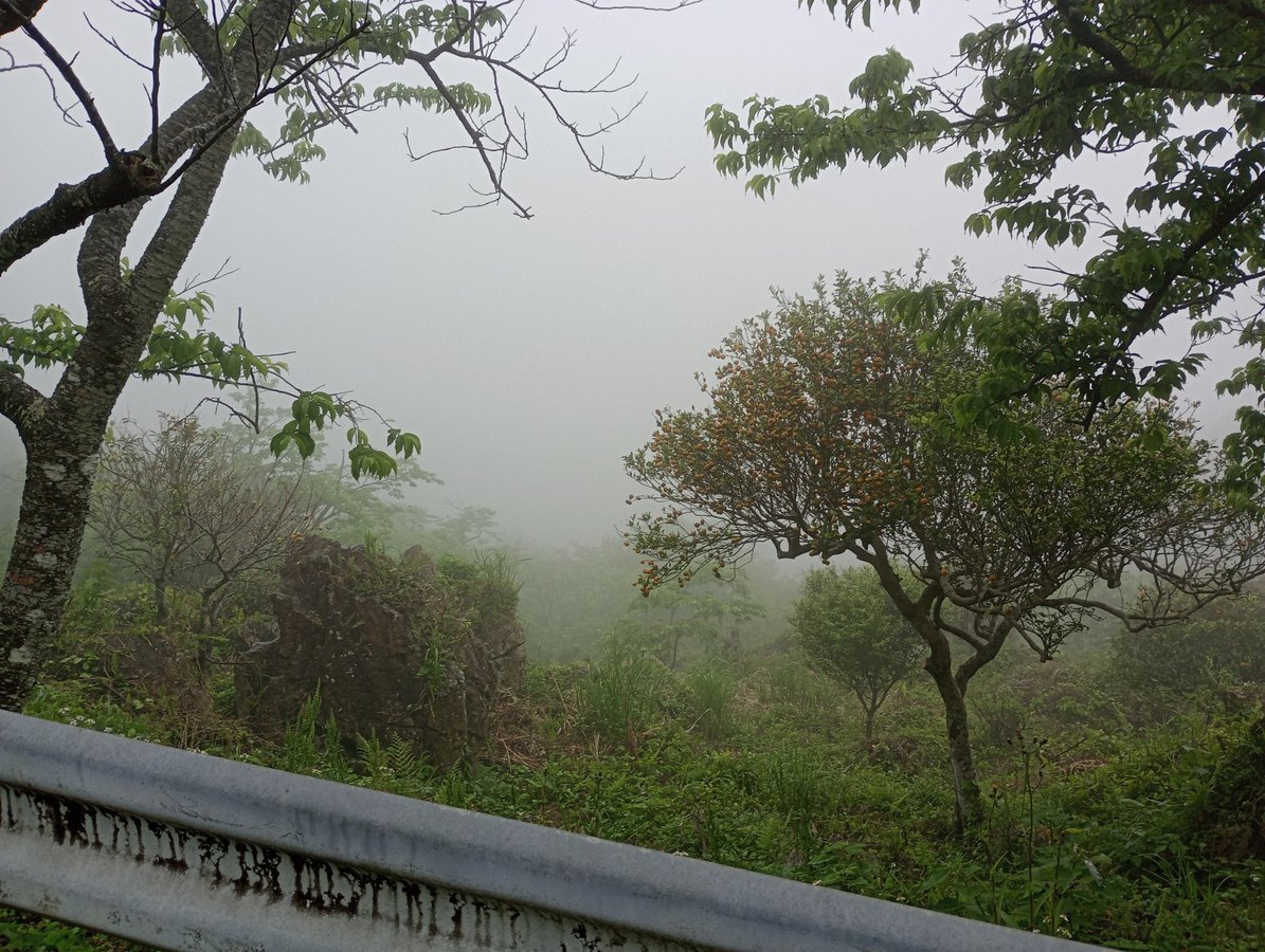 Road Up To Mount Yaedake, Japan