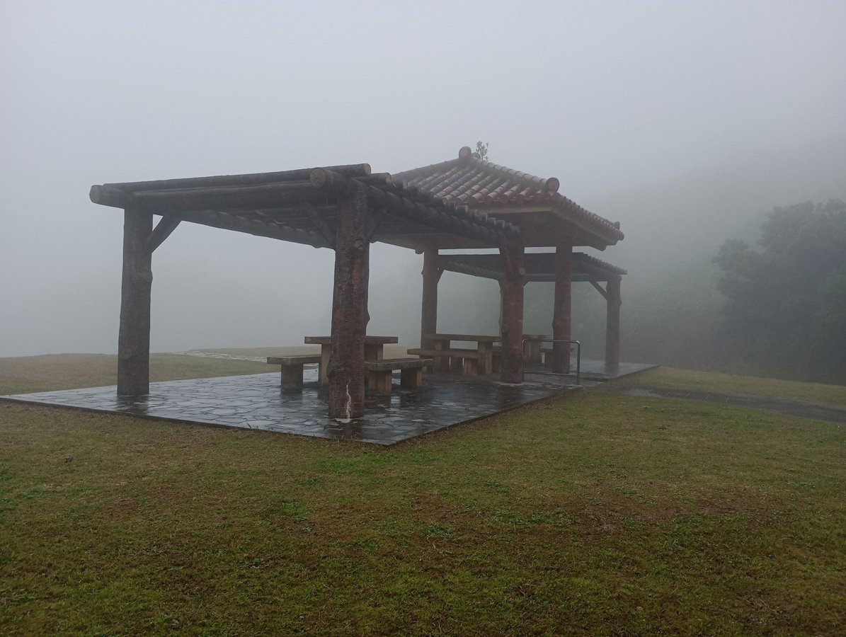 Picnic Spot, Japan