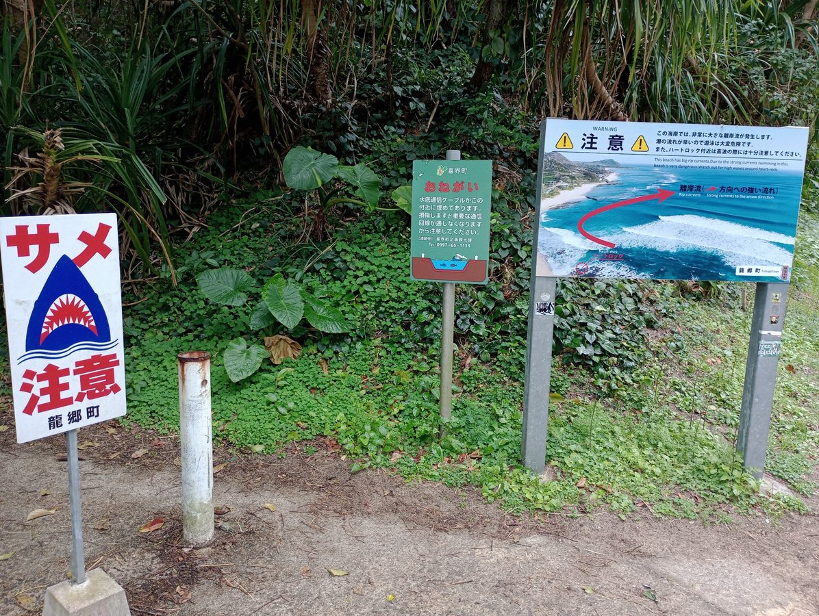 Shark warning!, Japan