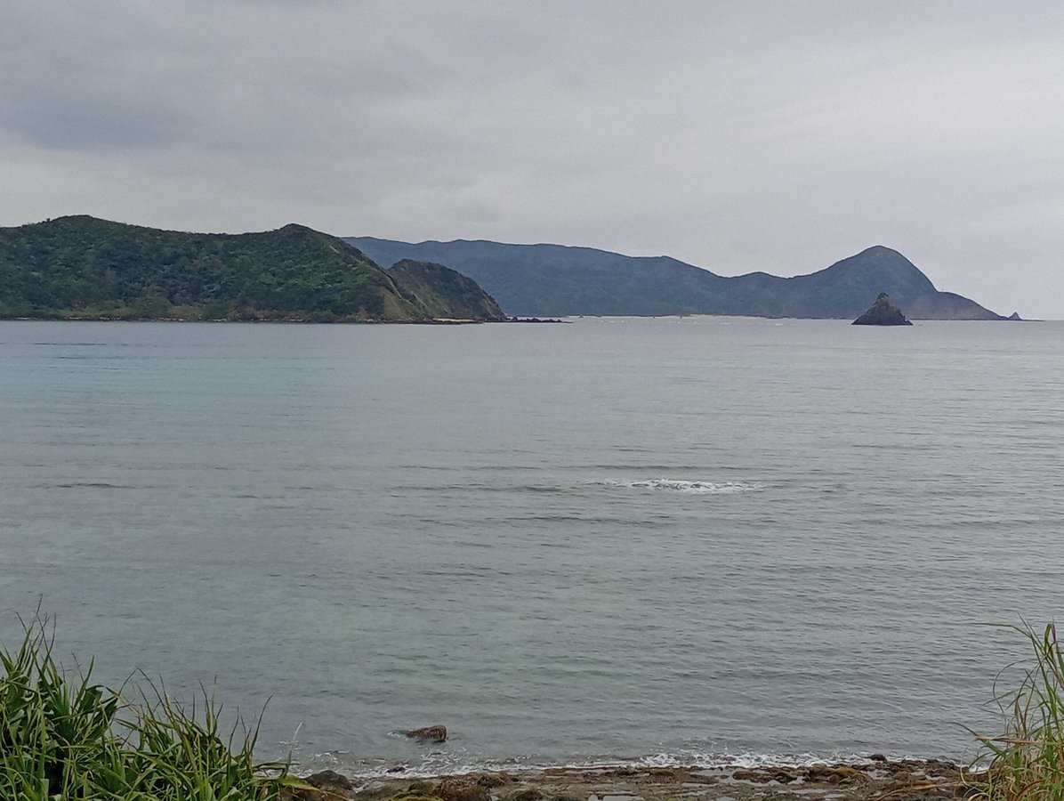 23 March 2026 - 17:22, Japan